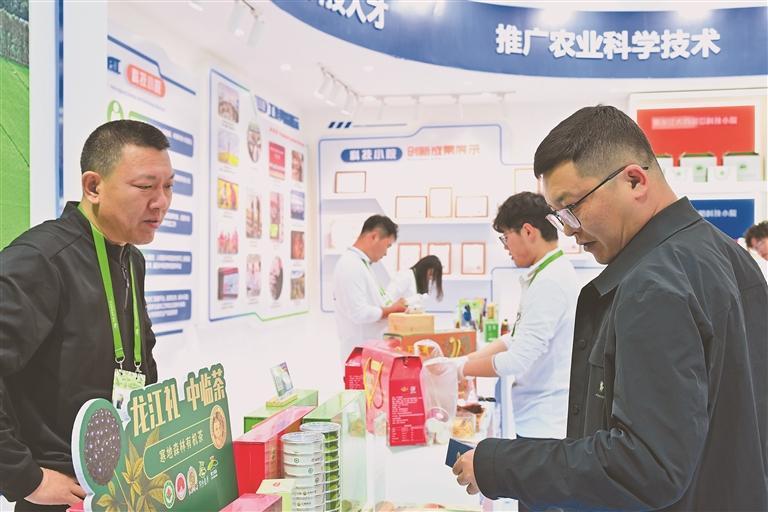 科技小院成果展示。黑龙江日报记者 李鹏举摄