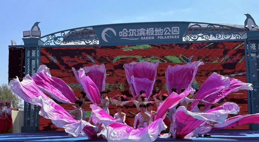 花开迎客来 2026哈尔滨丁香赏花季启动仪式举行