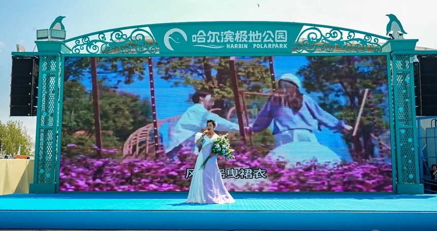 花开迎客来 2026哈尔滨丁香赏花季启动仪式举行