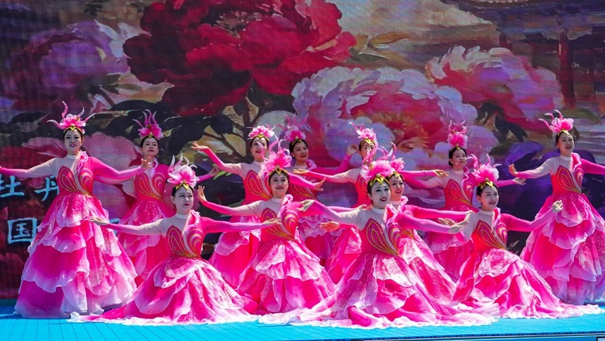花开迎客来 2026哈尔滨丁香赏花季启动仪式举行