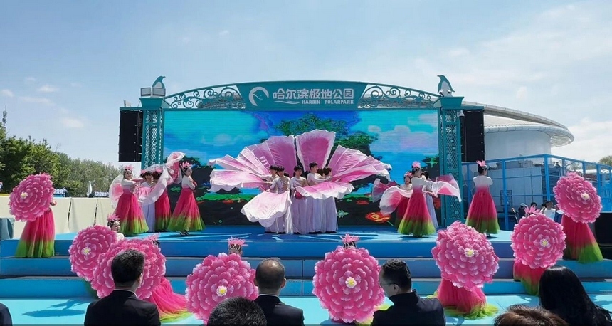 花开迎客来 2026哈尔滨丁香赏花季启动仪式举行