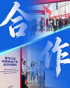 一组关键词解锁第十届中俄博览会精彩瞬间