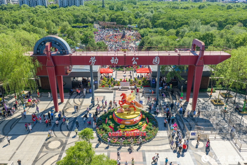 哈爾濱：萬盆花卉競綻放 