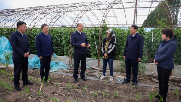 省委書記許勤到綏化肇東市東躍村看望慰問因極端天氣造成損失的農戶