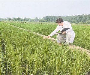 黑龙江省高校破题科技成果产业化