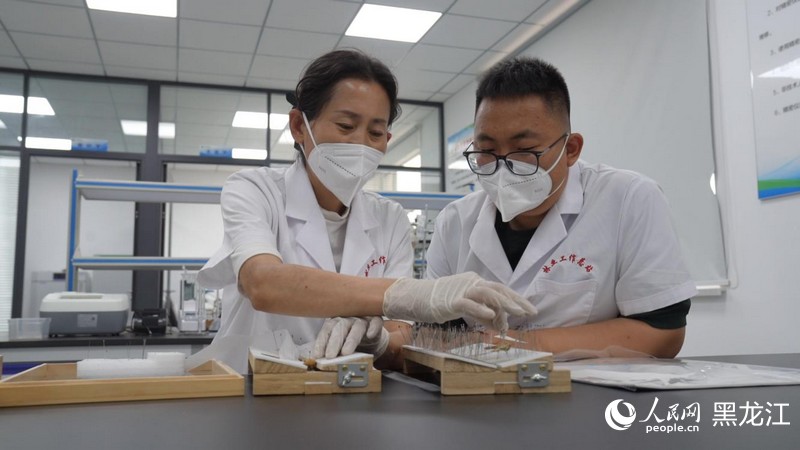 行进中国丨一位“森林医生”的护绿“长征”