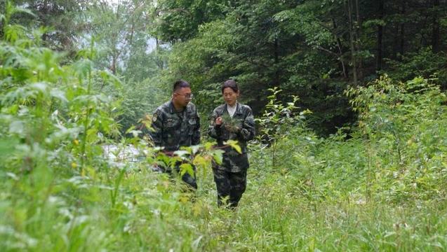一位“森林医生”的护绿“长征”二十六年初心不改，李金玲走过两万多公里林间路，参与防治病虫害面积超过260万亩，用脚步践行着生态保护的“长征路”。