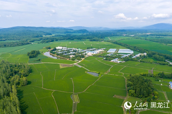 7月的北星村。人民网记者 徐成龙摄