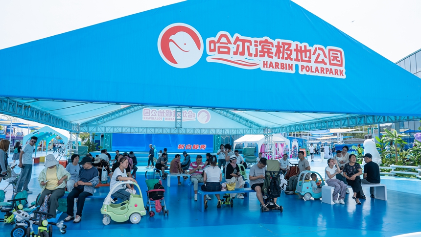 哈尔滨极地公园打造21℃恒温清凉“避暑胜地”
