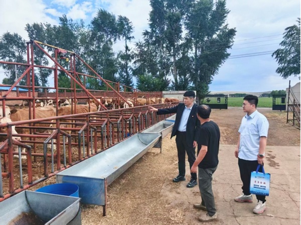 建设银行齐齐哈尔分行“张富清金融服务队”走访肉牛养殖户。图片由中国建设银行黑龙江省分行提供
