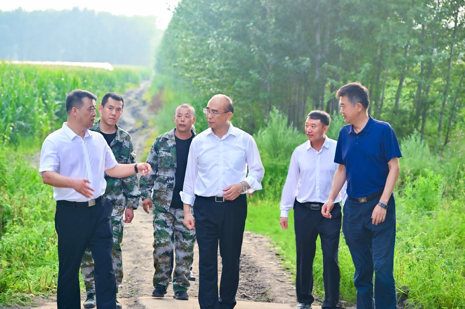 许勤来到肇东市双安村低洼易涝地块，查看防洪除涝准备工作。