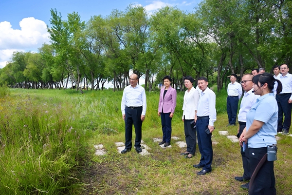 在明月岛湿地，许勤、梁惠玲了解生态保护等情况。