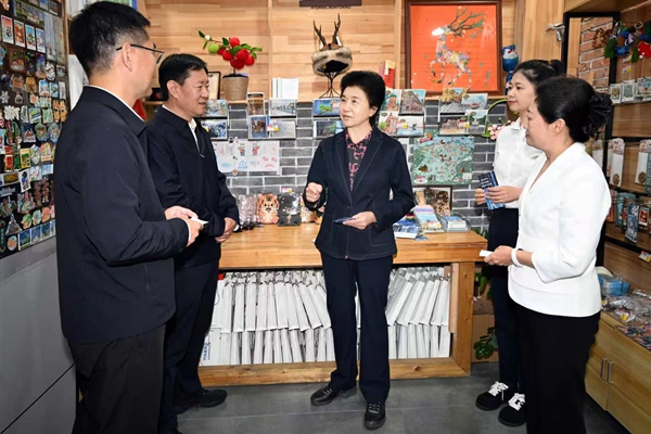 梁惠玲實地考察北極金街文旅商業綜合體項目，聽取文旅產業發展情況介紹。