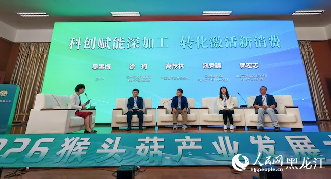 圆桌交流会议现场。人民网记者 苏靖刚摄