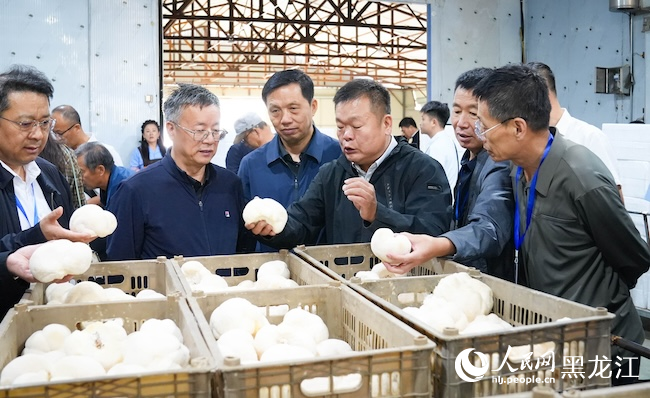 与会嘉宾参观考察海林市食用菌种植专业合作社。人民网记者 苏靖刚摄