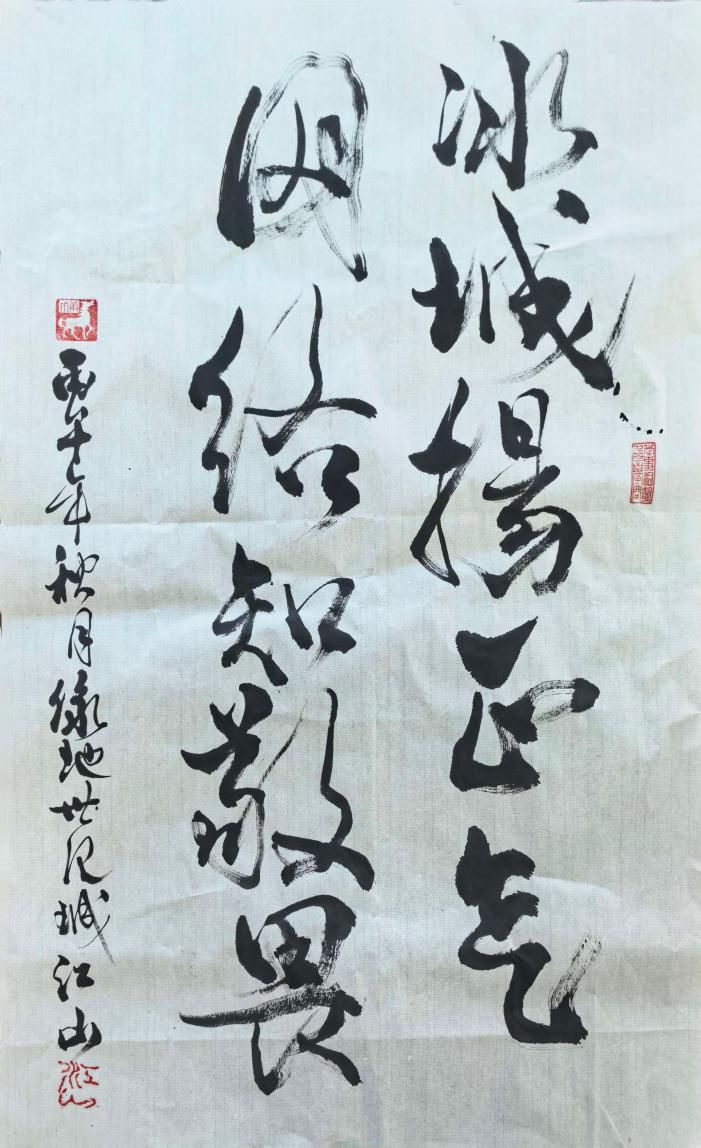 作者：姜珊