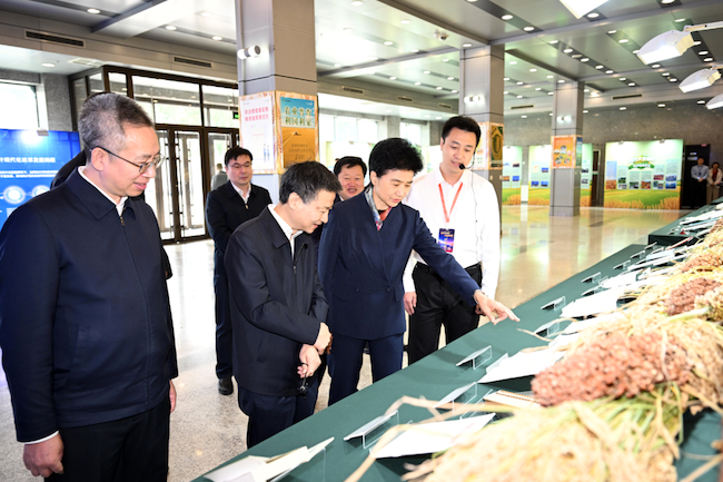 領導和嘉賓參觀第十七屆中國統計開放日活動展板