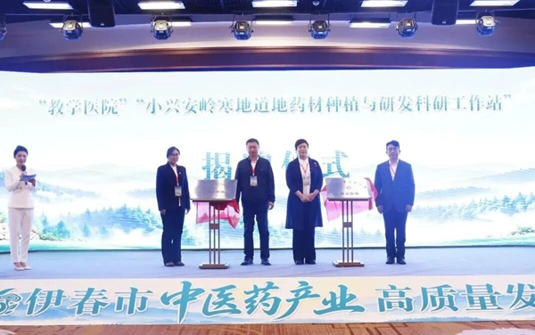 2026伊春市中医药产业高质量发展大会现场。伊春市委宣传部供图