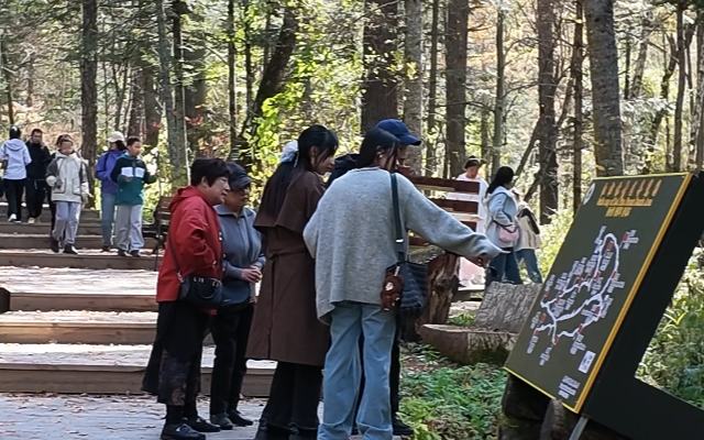 佳木斯市汤原县大亮子河金秋旅游人气旺
