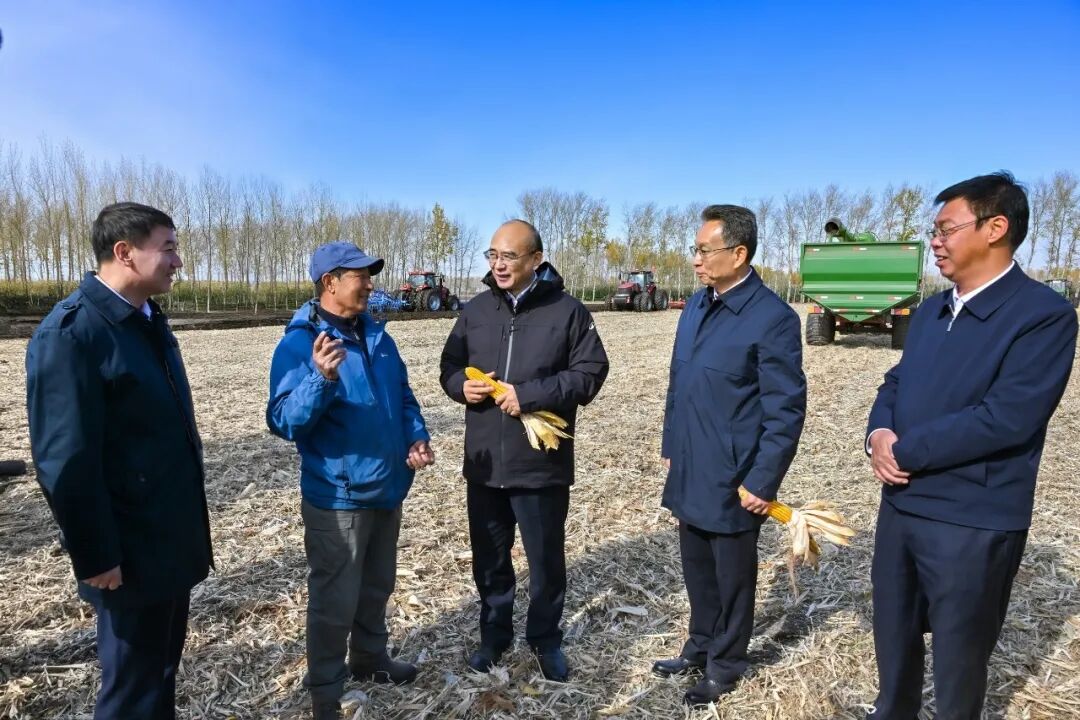 許勤來到綏化市北林區寶山鎮立軍現代農機合作社玉米收獲現場，督導檢查秋收。