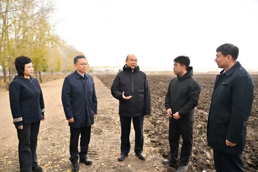 許勤來到新華鄉大豆高產攻關田整地現場，督導檢查秋整地。