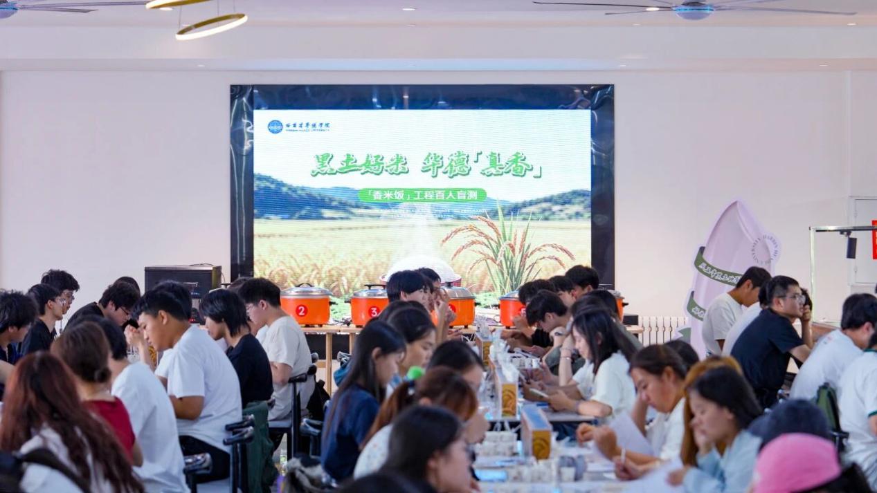 师生参与五常香米饭盲测品鉴为心仪米种投票
