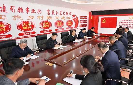 许勤到绥化市海伦市调研